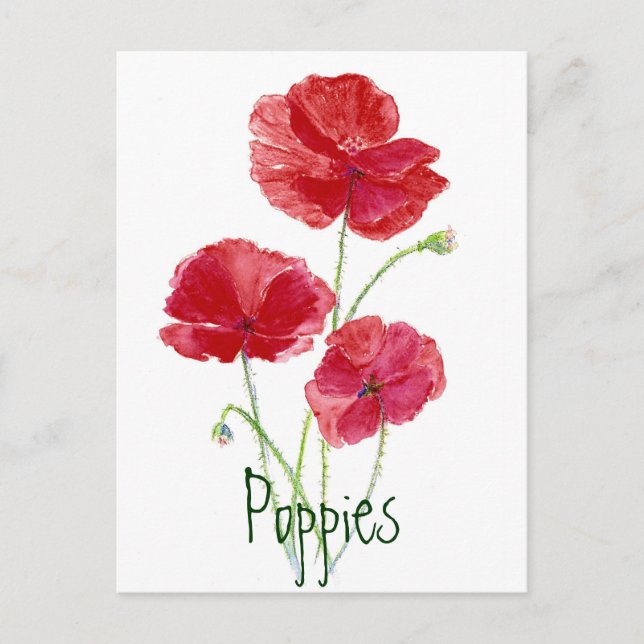 Carte Postale Poppies rouges - Aquarelle (Devant)