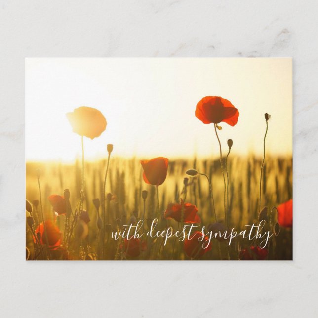 Carte Postale Poppies Rouges En Champ Ouvert Avec Une Sympathie  (Devant)