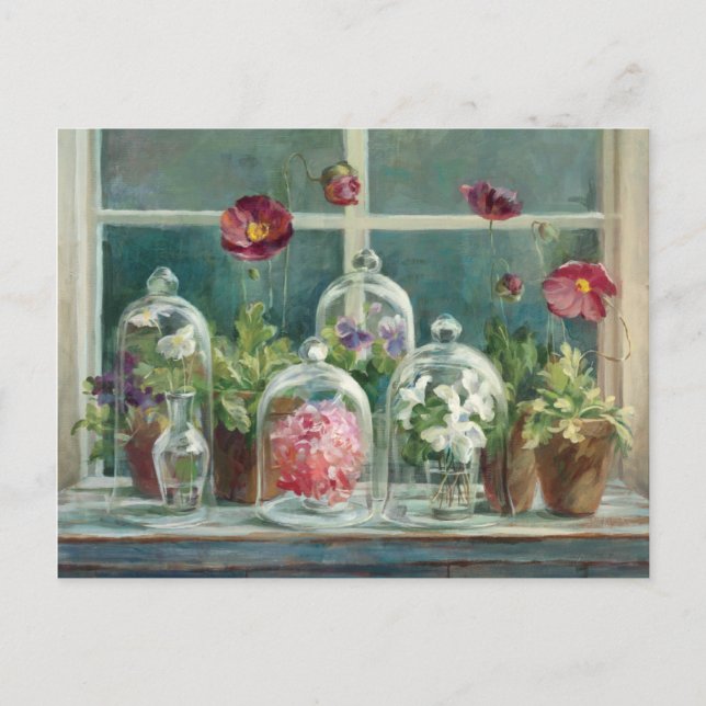 Carte Postale Poppies violettes sur un rebord de fenêtre (Devant)