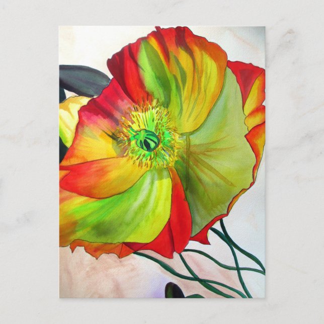 Carte Postale Poppy Art macro poppy (Devant)
