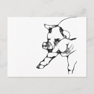 Carte Postale porc
