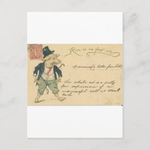 Carte Postale porc et poches vides avec le texte