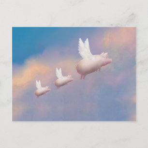 Carte Postale porcelets