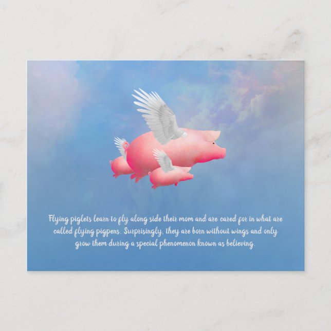 Carte Postale Porcelets volants (Devant)