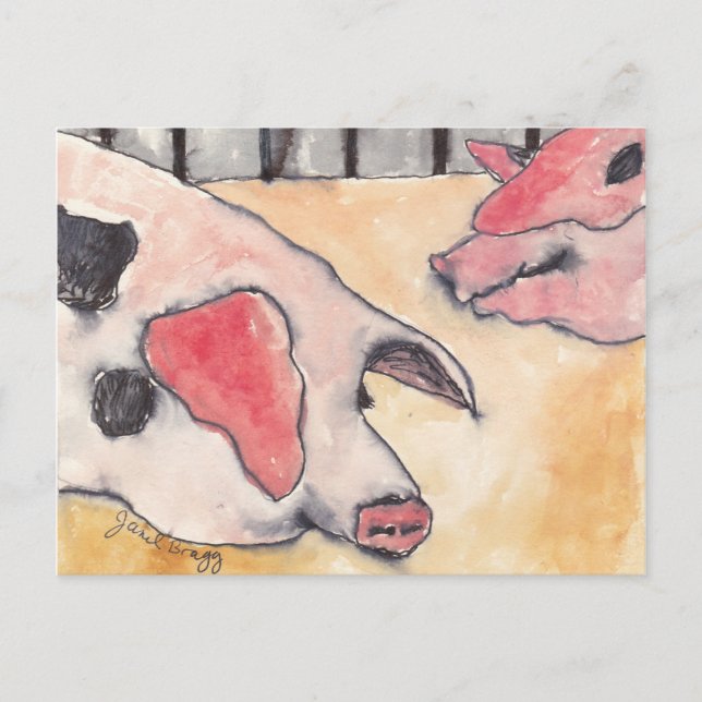 Carte Postale Porcs à la Foire du Comté (Devant)