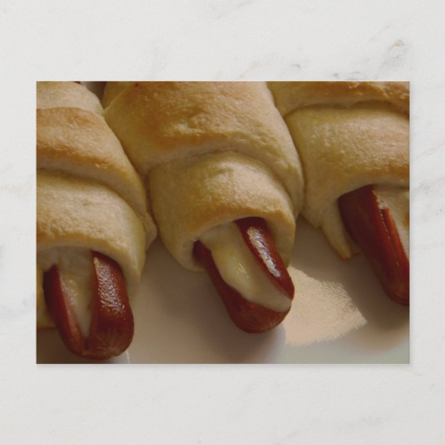 Carte Postale Porcs dans une couverture avec fromage (Devant)