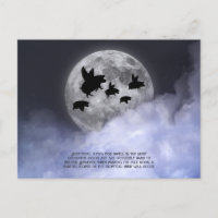 Porcs volants néocturnes