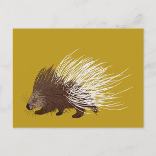 Carte Postale Porcupine Brown et moutarde