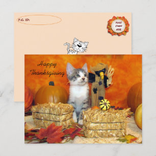 Carte postale Porkchop de poste / Kitten