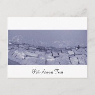 Carte postale Port Aransas (Panoramique) La Pesca