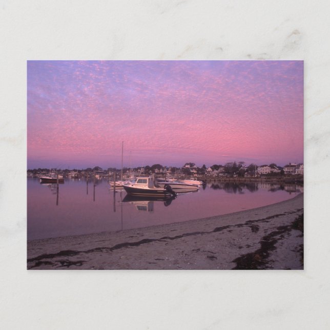 Carte Postale Port d'Edgartown au vignoble de Dawn Marthas (Devant)