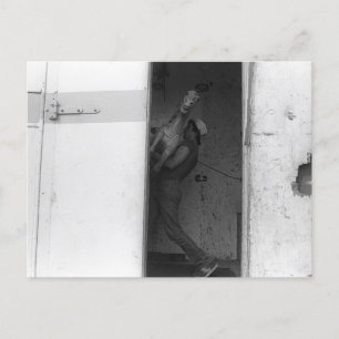 Carte Postale Porter le cheval