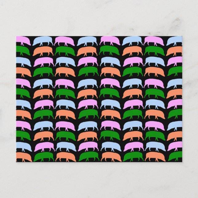Carte postale Portes multicolores (Devant)