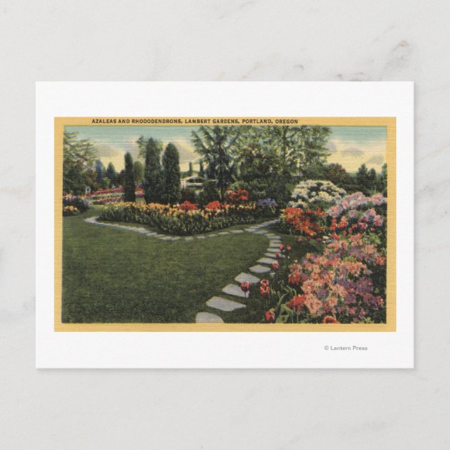 Carte Postale Portland, Oregon - Azaleas & Rhododendrons (Devant)
