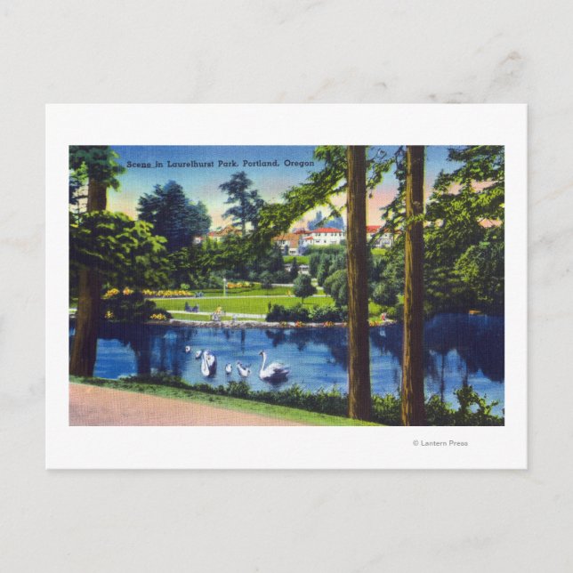 Carte Postale Portland, OregonLaurelhurst Park Scene (Devant)