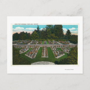 Carte Postale Portland, OregonVue des jardins d'essais Roses