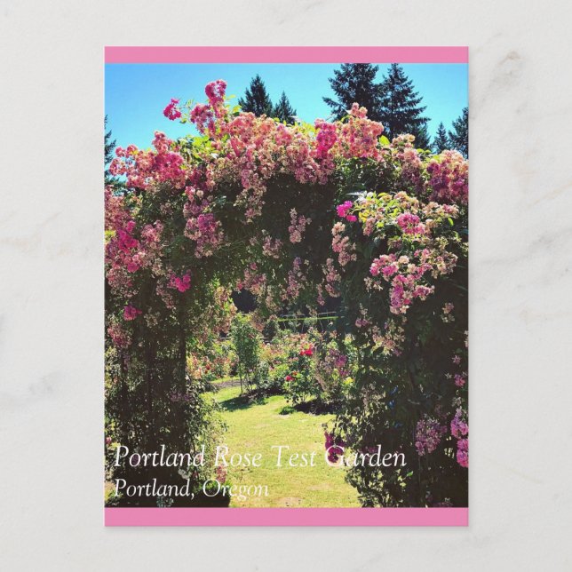 Carte Postale Portland Rose Garden (Devant)