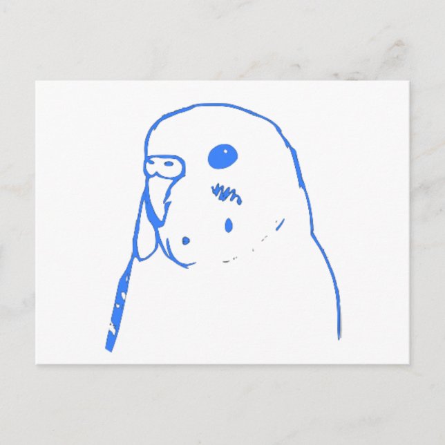Carte Postale Portrait Aqua Budgie (Devant)