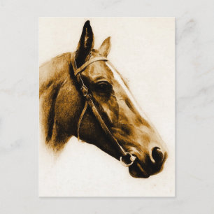 Carte Postale Portrait Cheval aux tons Brown