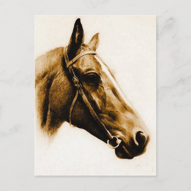 Carte Postale Portrait Cheval aux tons Brown (Devant)