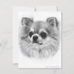 Carte Postale Portrait Chihuahua Peint À La Main