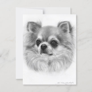 Carte Postale Portrait Chihuahua Peint À La Main