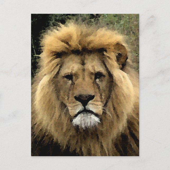 Carte Postale Portrait d'aquarelle de Lion (Devant)