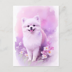 Carte Postale Portrait d'aquarelle Pomeranienne 1