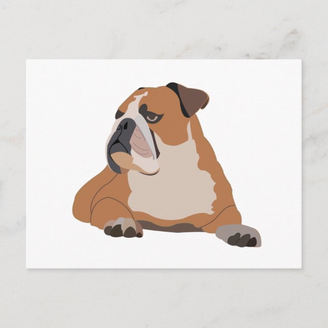 Carte Postale Portrait de Bulldog anglais (Devant)