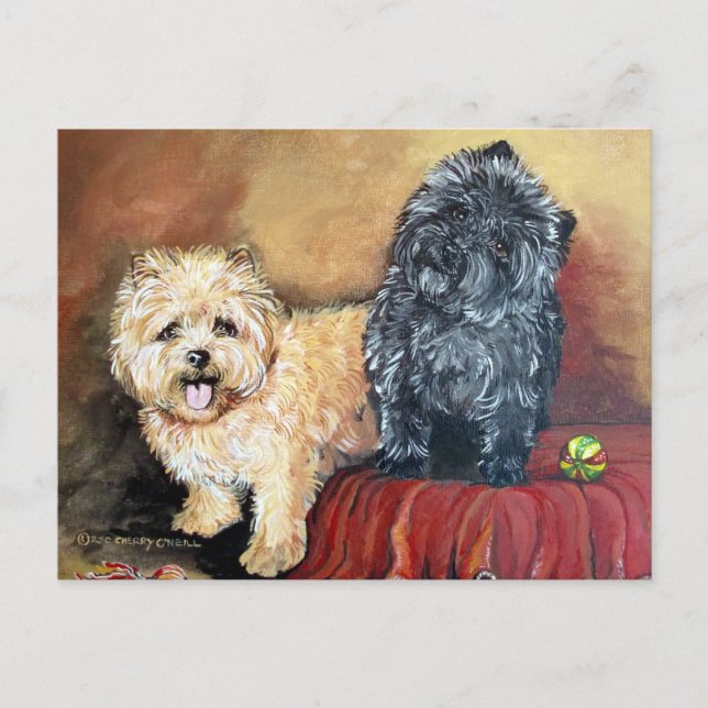 Carte Postale Portrait de Cairn Terrier (Devant)