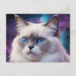 Carte Postale Portrait de chat Birman céleste