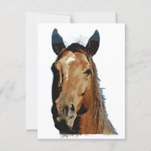 Carte Postale Portrait de cheval
