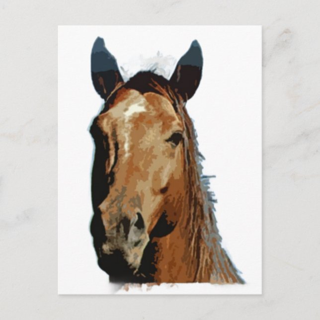 Carte Postale Portrait de cheval (Devant)
