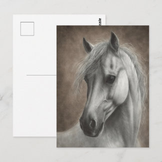 Carte Postale Portrait de cheval blanc peint à la main