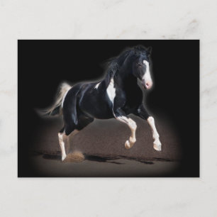 Carte Postale Portrait de cheval VIII