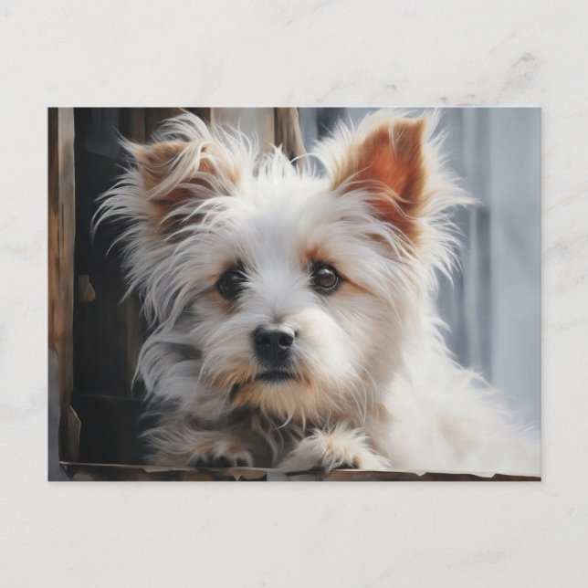 Carte Postale Portrait de chien blanc mignon (Devant)