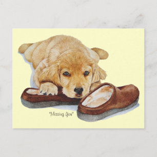 Carte Postale portrait de chien de chien de puppy golden