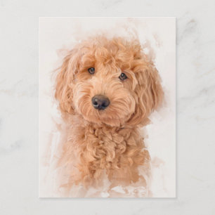 Carte Postale Portrait de chien Mini Goldendoodle