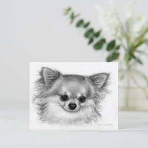 Carte Postale Portrait de Chihuahua peint à la main "Soul douce"