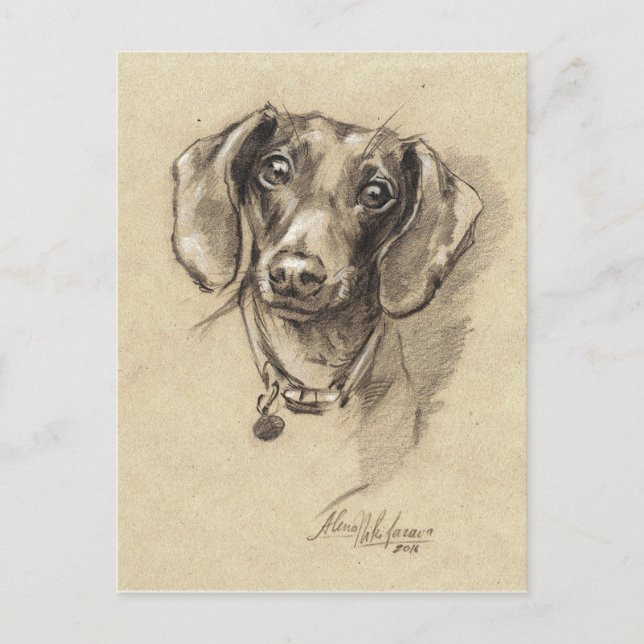 Carte Postale Portrait de Dachshund (Devant)