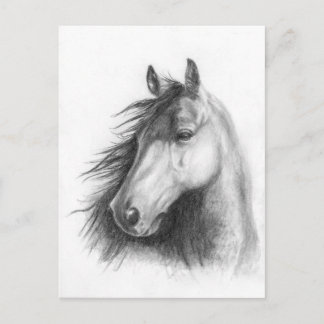 Carte postale portrait de Moe the Morgan