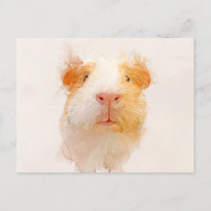 Carte Postale Portrait de porc de Guinée 001