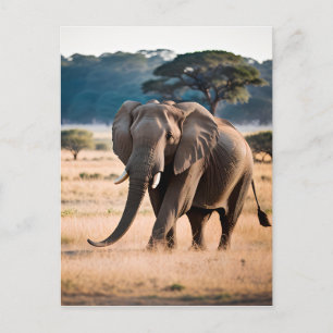 Carte Postale Portrait d'Elephant