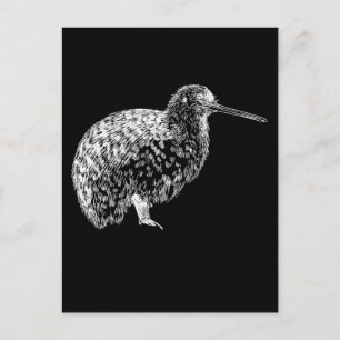 Carte Postale Portrait d'oiseau Kiwi Animal de Nouvelle-Zélande