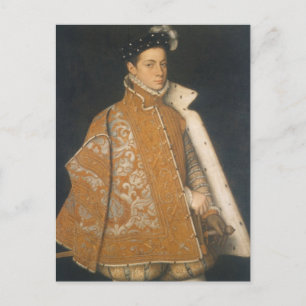 Carte Postale Portrait d'un jeune homme par Sofonisba Anguissola