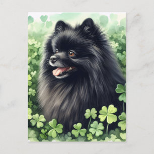 Carte Postale Portrait en Jour de la Saint Patrick de Poméranie