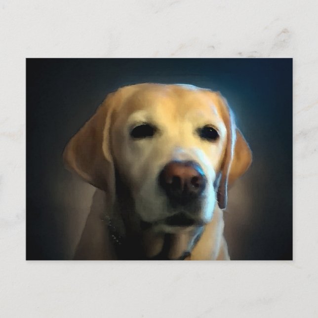 Carte Postale Portrait Golden Retriever (Devant)