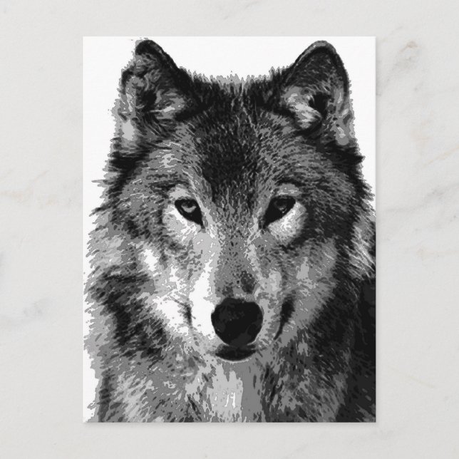 Carte Postale Portrait noir et blanc Wolf (Devant)