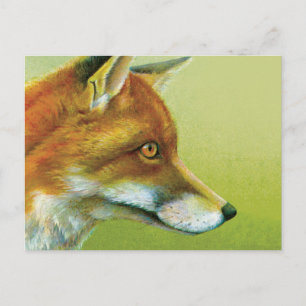 Carte Postale Portrait of a fox fine art postcard