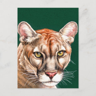 Carte Postale Portrait Panther